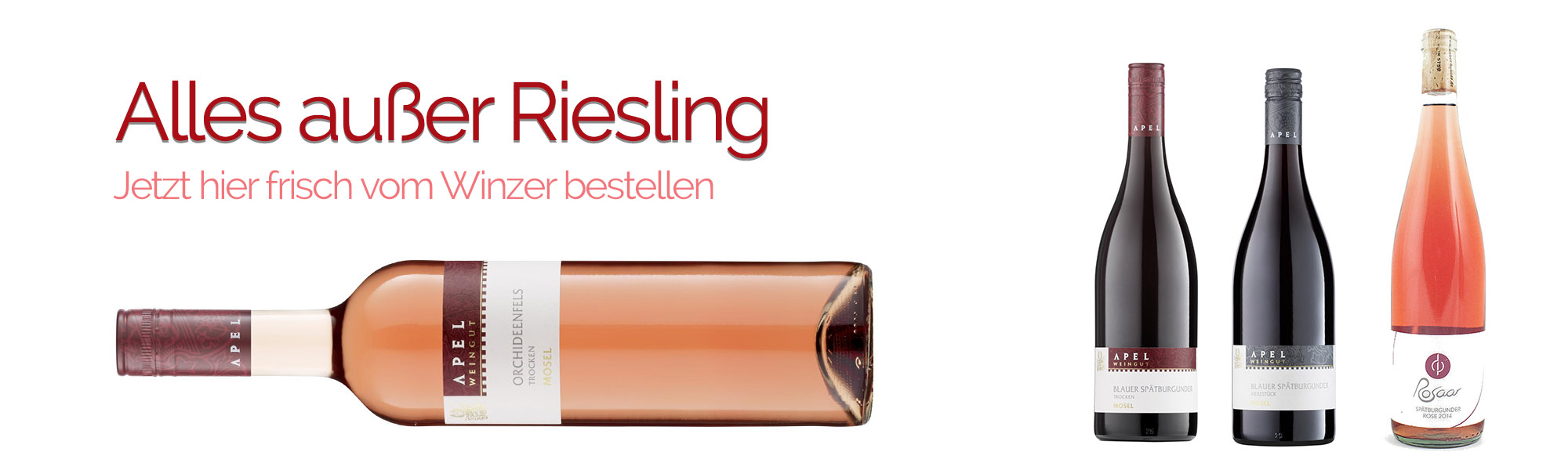 Red Wine and Rose BannerWXKGMgAXzhWaU