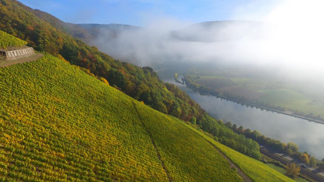 tor-zum-Saarwein