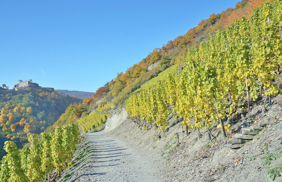 Weinwanderung "Saarburg im Rausch" - Weingeführte Self Walk Tour (Ab 10 Pers.)