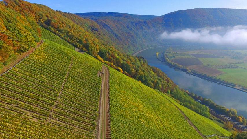 Würtzberg | Riesling trocken "Rotschiefer" 2018