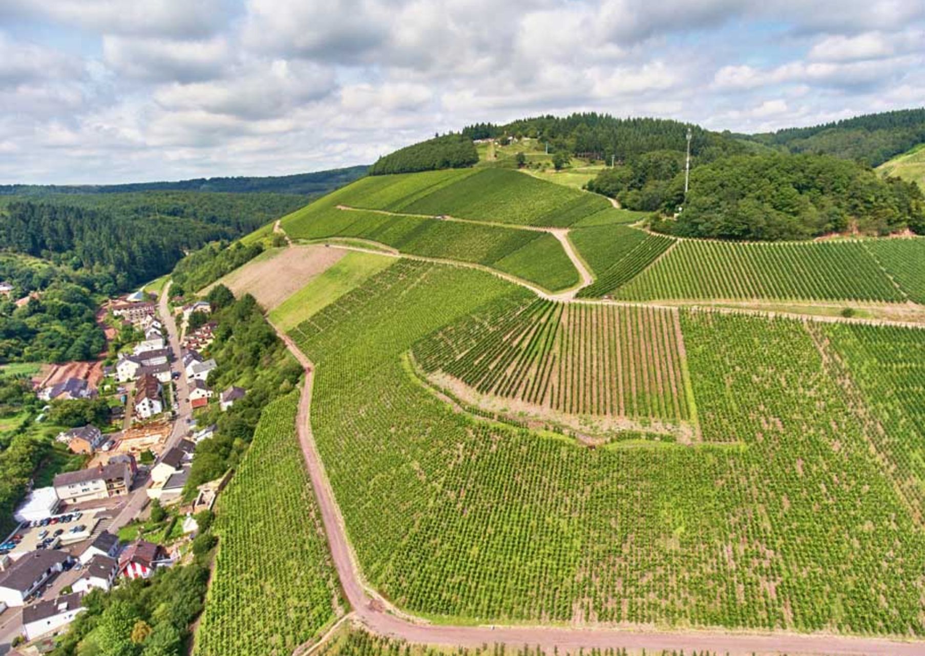 Weinwanderung "Saarburg im Rausch" - Weingeführte Self Walk Tour (Ab 10 Pers.)