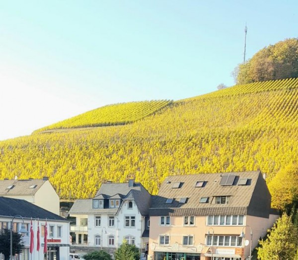 saarburger-rausch-vdp-grosse-lage-zilliken-saarburg_600x600 saarburger-rausch-vdp-grosse-lage-zilliken-saarburg_600x600