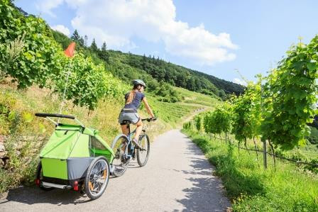 Fahrradfahren-an-der-Mosel-2_600x600